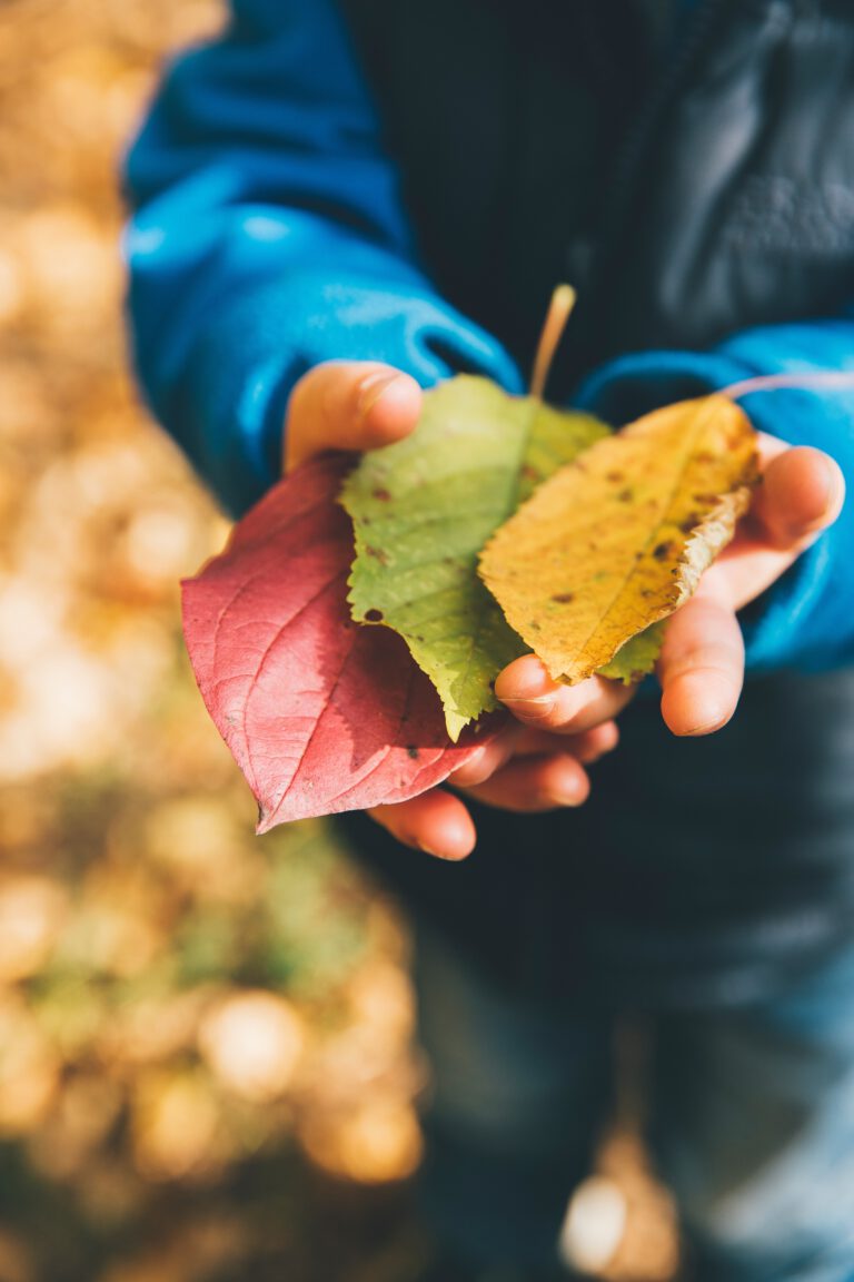 Afbeelding voor Routes of resilience in the early years – Pathways to flourishing